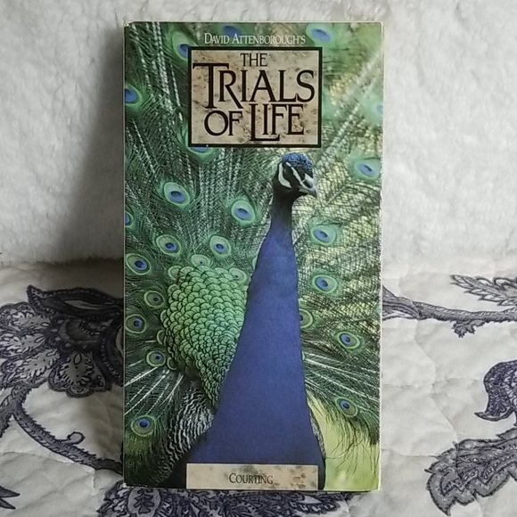 Vintage 1991 David Attenborough's "The Trials of Life" Time Life 12 VHS Box Set - Picture 8 of 15